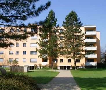 1.5 Zimmer, 41 m², 2. Stock - Foto 4