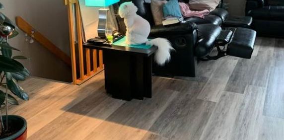 À LOUER – Magnifique 4 ½ très éclairé | 1 500 $/mois - Photo 2