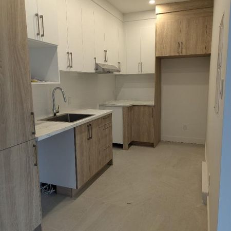 LUXUEUX 3 1 /2 À LOUER À MONTRÉAL - Photo 3