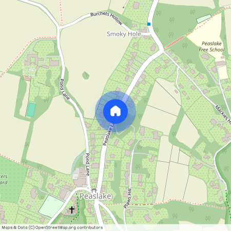 Peaslake Lane, Peaslake