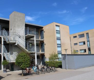 Blegkilde Alle 121, 9000, Aalborg C - Photo 1