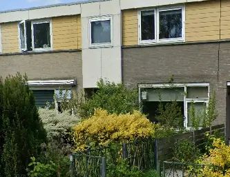Maison mitoyenne Edisonlaan, Oudeschoot - À louer - Foto 1