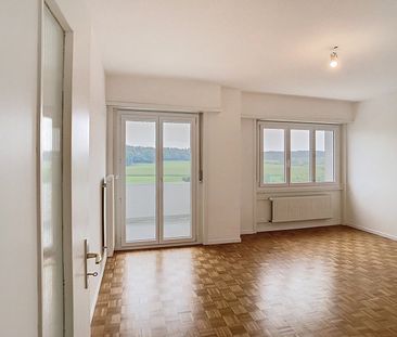 Lumineux logement traversant avec vue imprenable et deux balcons ! - Photo 5