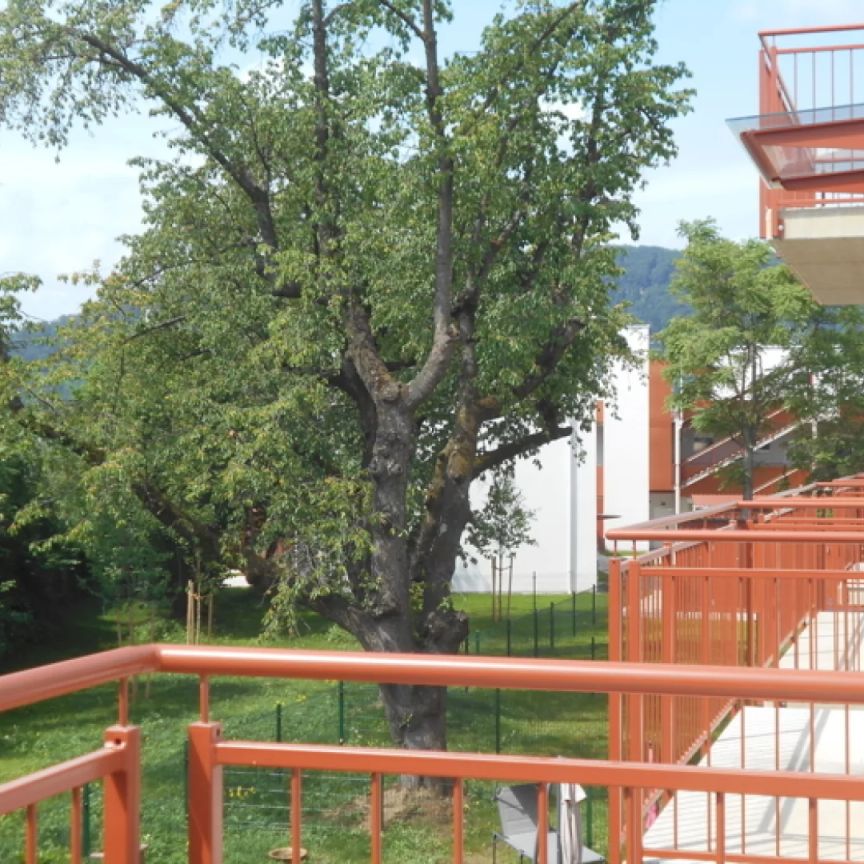 Grottenhofstraße sonnige 2ZI mit 9m² Süd/Balkon ruhig,hochwertig - Photo 1