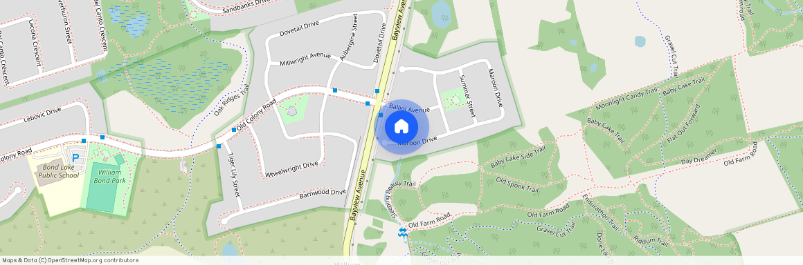 16 Maroon Drive Unit# Bsmt, Richmond Hill