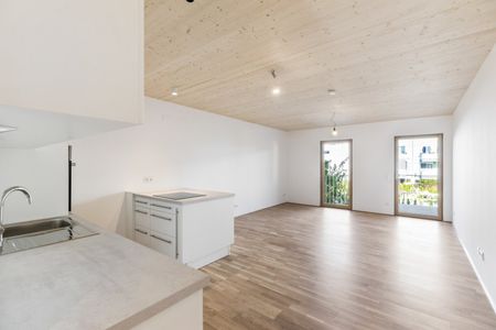 Holz-Hybridbau | Garten | Balkon - Foto 5