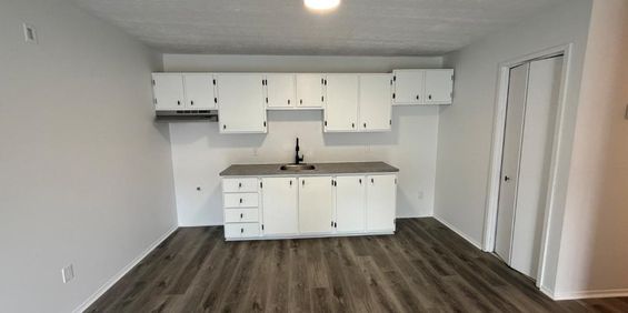 🏡Beau 4 ½ à louer pour août 2026!! - Photo 3