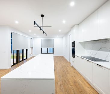 41 Maggie Scott Terrace, Whitlam ACT 2611 - House For Rent | Domain - Photo 2