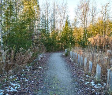 For Lease - 45 FERNDALE Drive Unit# 211, Barrie, Ontario - Photo 1