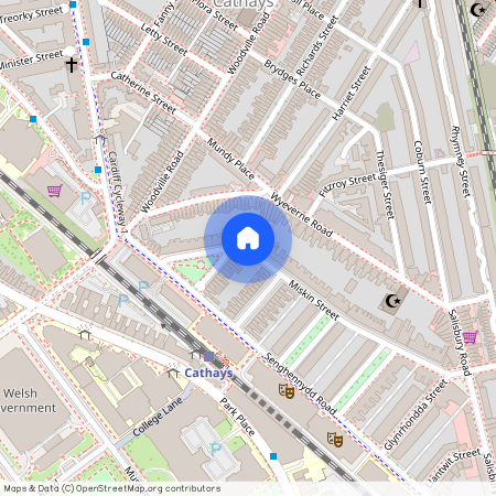 Miskin Street, CF24 4AQ, Cathays