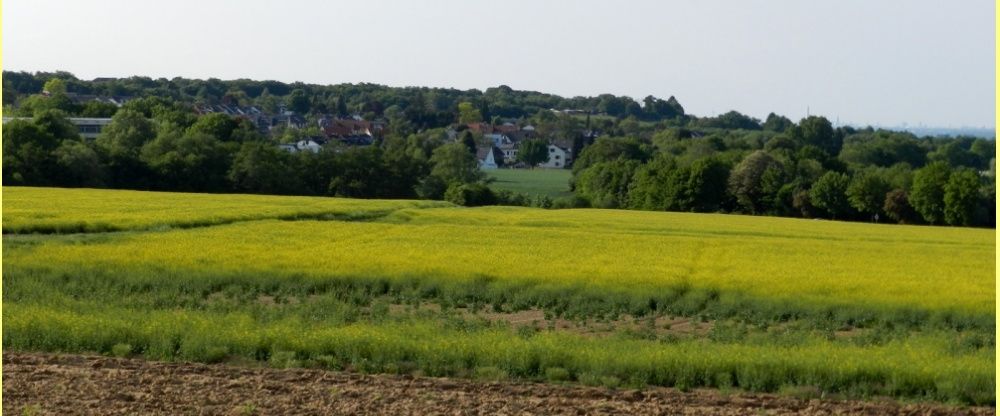 Attraktive, helle 3 Zimmerwohnung mit 2 Terrassen,Keller, TG-Stellplatz Bonn Röttgen - Photo 1