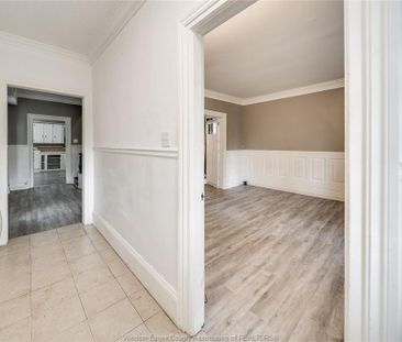 For Lease - 211 CAMERON, Windsor, Ontario - Photo 2