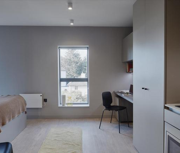 1 bedroom in a flat share to rent - Photo 5