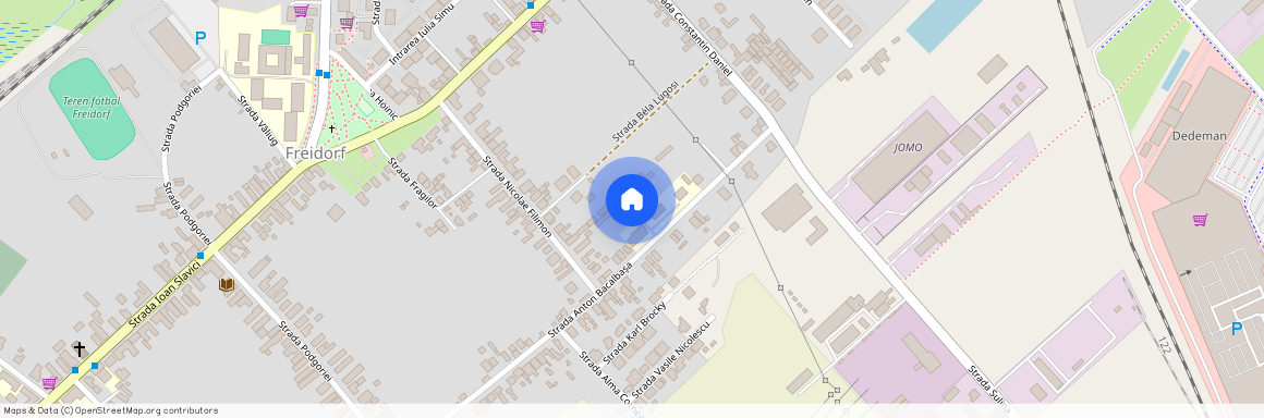 Timis, Timisoara