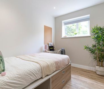 Battery Hill #10 - Photo 6