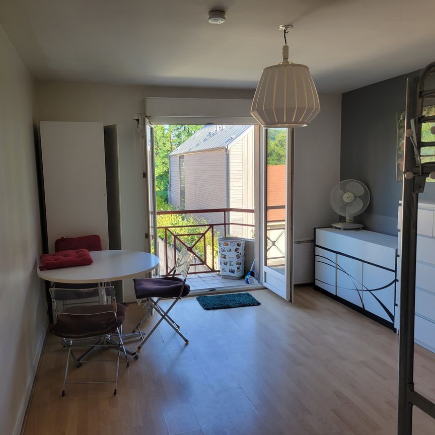 Location Appartement 1 pièce 30m² CHAVILLE 92370 - Photo 1