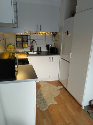 Barrgatan, Jörn - Photo 3