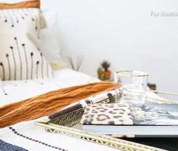 Classic Studio Plus - Photo 6