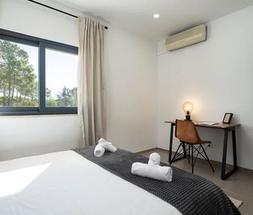 Volta do Pavão - Photo 4