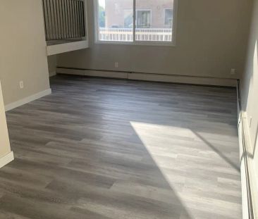 7715 159st — Bi- Level 2 Bedroom 1 Bath - Photo 6