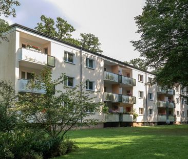 Rabenberg: Komfortables Erdgeschosswohnen mit Loggia - Photo 4