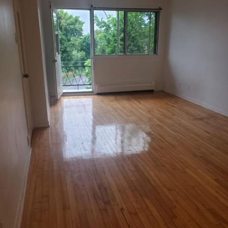 Studio 1 1/2 à louer - Photo 4