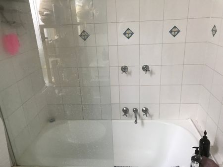 Albert Park - Photo 3