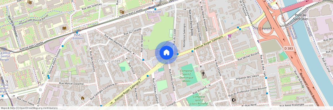 173 Avenue Roger Salengro, 69100 Villeurbanne, France