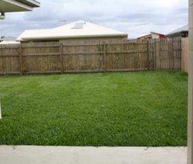 Light Filled Family Home, Quiet Street, Spacious Living and Private... - Photo 6