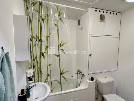 Pronájem bytu 1+1 36 m2 - Photo 1