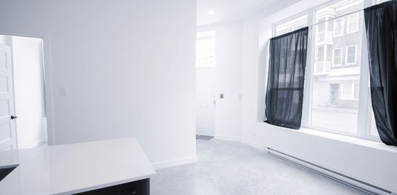 Grand 3 1/2 Style Loft Tout Inclus - Photo 2