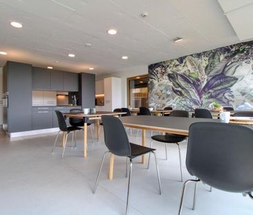 Lily #33 - Coliving at Lily: Modern Living near Lausanne, EPFL and ... - Photo 6