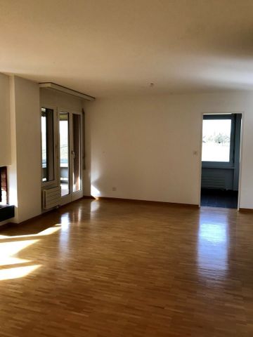 2.5 Zimmer, 59 m², 1. Stock - Foto 3