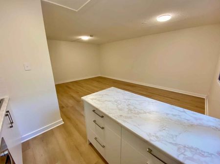 Freshly Renovated Studio Apartment - Photo 2