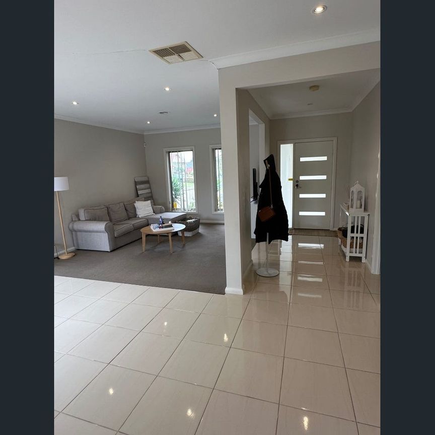 Homely living in the heart of Sydenham - Photo 1