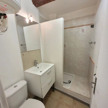 Location Appartement 1 pièce 18m² EGUILLES 13510 - Photo 3