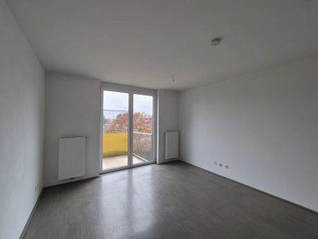 **GEFÖRDERT** Gemütliche 1-Zimmer-Wohnung mit Balkon - ab sofort verfügbar! - Photo 3