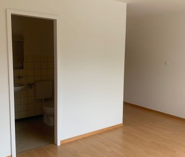 Gemütliche Singlewohnung - Foto 2