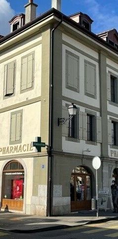 Charmant 2 pièces rénové en plein cœur du Vieux-Carouge - Photo 1