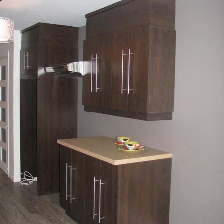 Beau 3,5 frais peinturer look chip Urbain - Photo 4