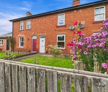 3 bedroom terraced house to rent - Photo 3