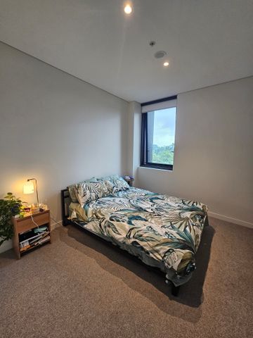 Zetland - Photo 4