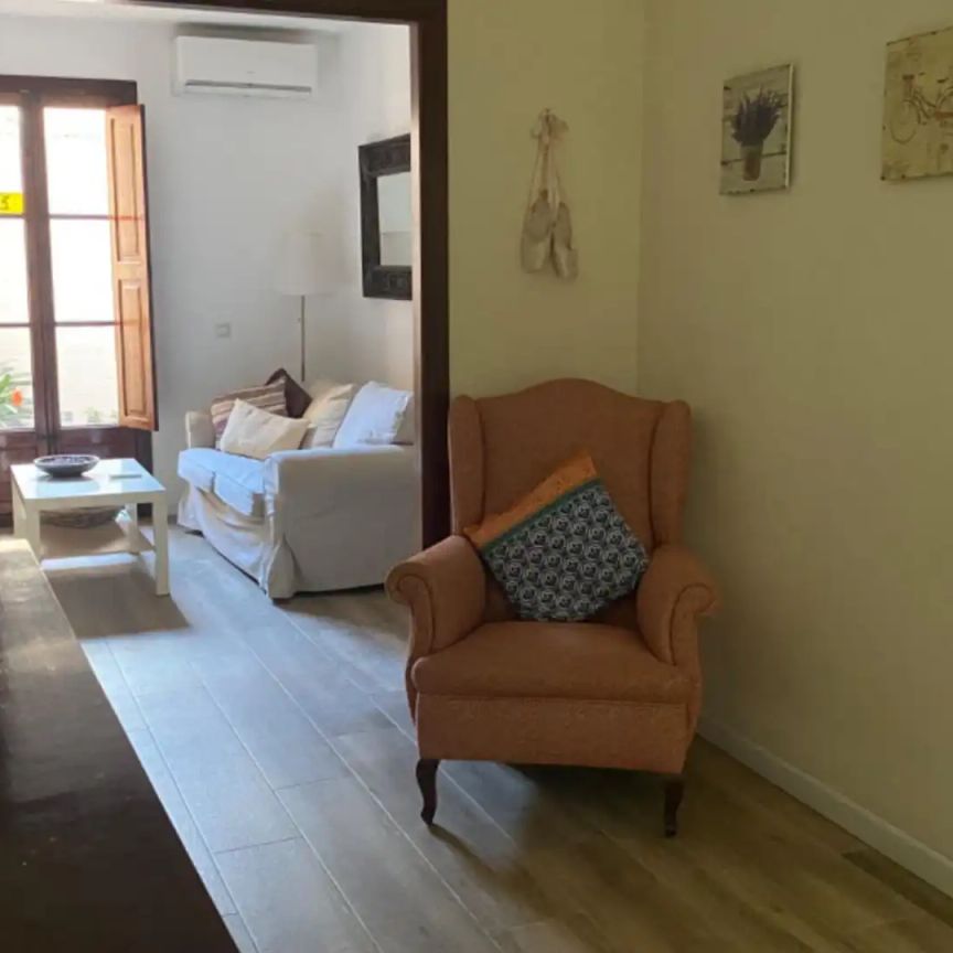 Planta baja de alquiler en Passeig de Dante, 12, Pere Garau - Photo 1