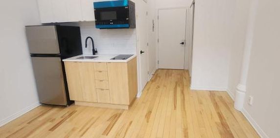 1 CH - 1 SDB - Montréal - $1,195 /mo - Photo 2