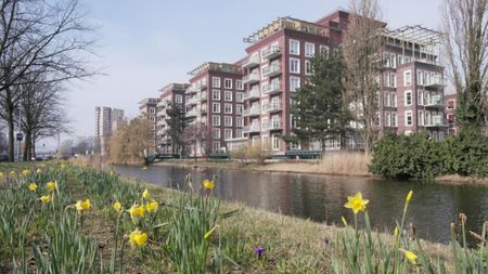 Te huur: Molenwerf + PPL 155 6 G4 - Photo 3