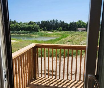 Detached Home For Lease | E9056430 - Photo 6