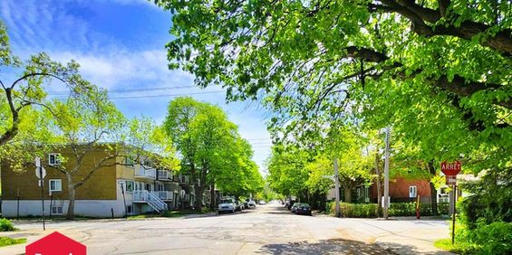 Appartement Mercier/Hochelaga-Maisonneuve (Montréal) À Louer - Photo 3