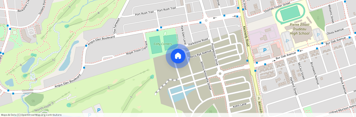 79 Freeman Willams Street, Markham