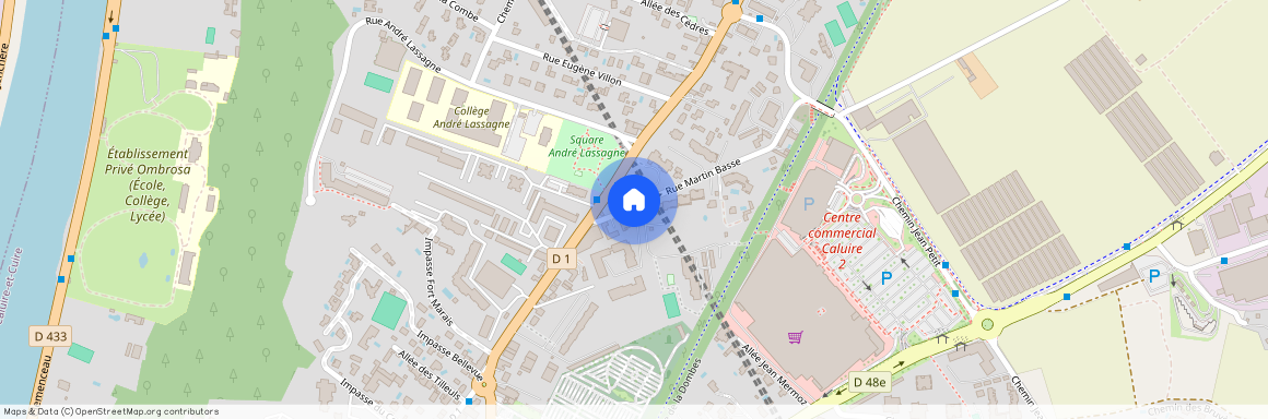 4 RUE MARTIN BASSE, CALUIRE ET CUIRE Vernay