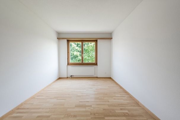 Schönes und ruhiges Wohnquartier in Arbon - Foto 1